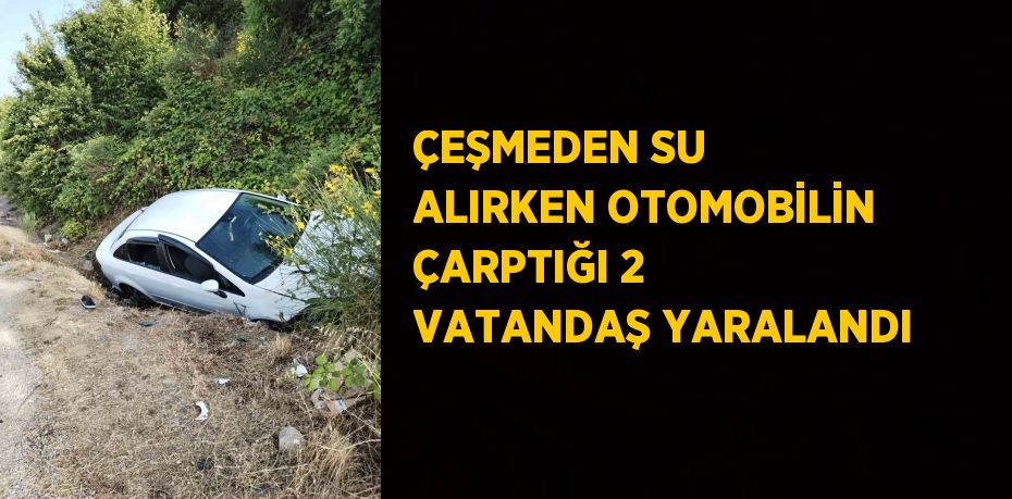 ÇEŞMEDEN SU ALIRKEN OTOMOBİLİN ÇARPTIĞI 2 VATANDAŞ YARALANDI