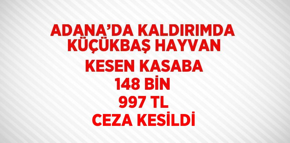 ADANA’DA KALDIRIMDA KÜÇÜKBAŞ HAYVAN KESEN KASABA 148 BİN 997 TL CEZA KESİLDİ