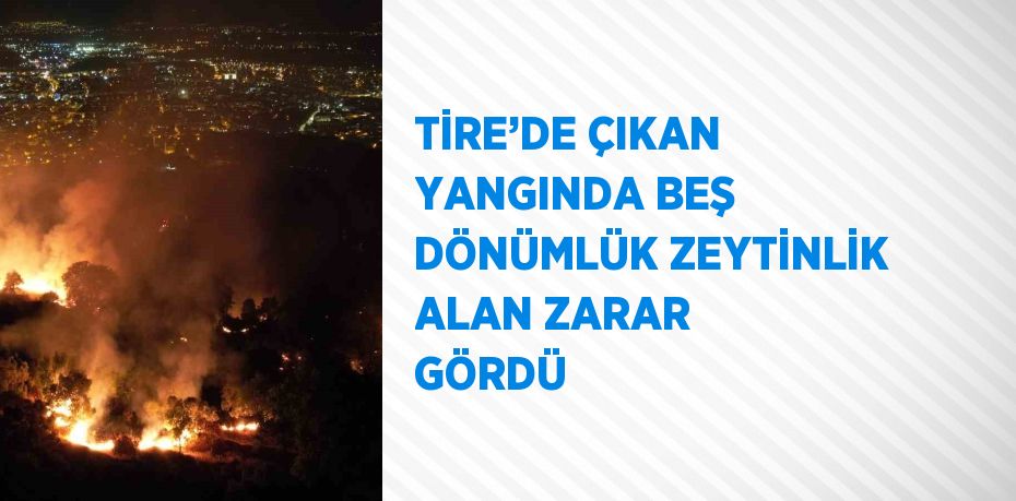 TİRE’DE ÇIKAN YANGINDA BEŞ DÖNÜMLÜK ZEYTİNLİK ALAN ZARAR GÖRDÜ