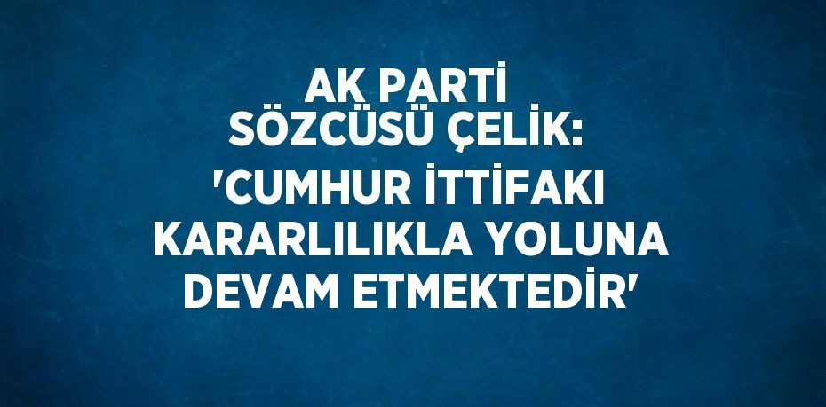 AK PARTİ SÖZCÜSÜ ÇELİK: 'CUMHUR İTTİFAKI KARARLILIKLA YOLUNA DEVAM ETMEKTEDİR'