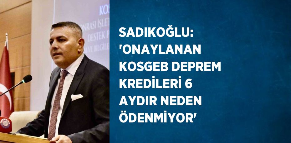 SADIKOĞLU: 'ONAYLANAN KOSGEB DEPREM KREDİLERİ 6 AYDIR NEDEN ÖDENMİYOR'