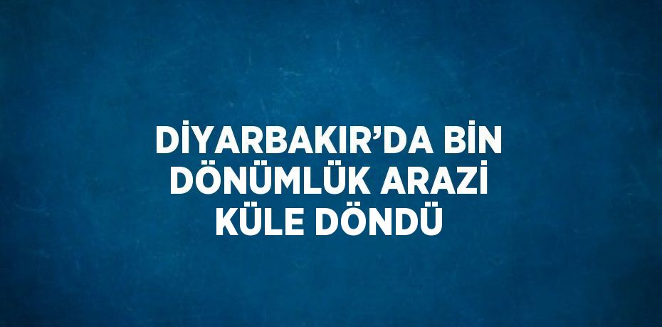 DİYARBAKIR’DA BİN DÖNÜMLÜK ARAZİ KÜLE DÖNDÜ