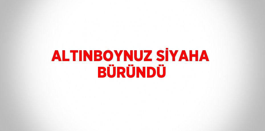 ALTINBOYNUZ SİYAHA BÜRÜNDÜ