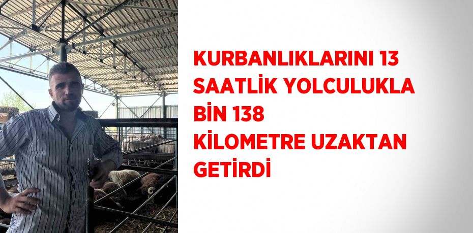 KURBANLIKLARINI 13 SAATLİK YOLCULUKLA BİN 138 KİLOMETRE UZAKTAN GETİRDİ