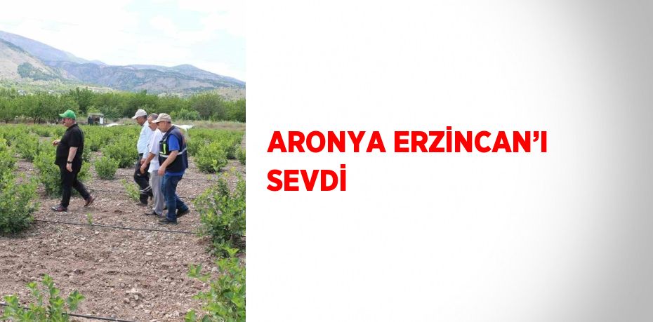 ARONYA ERZİNCAN’I SEVDİ