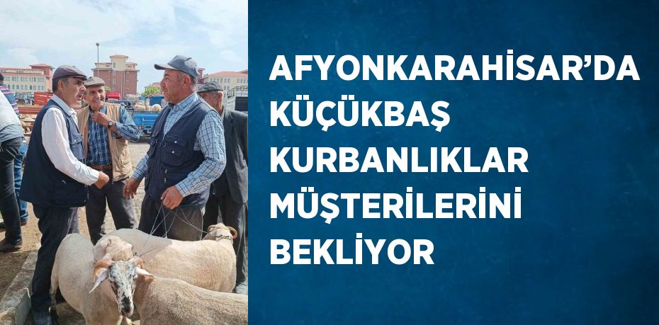 AFYONKARAHİSAR’DA KÜÇÜKBAŞ KURBANLIKLAR MÜŞTERİLERİNİ BEKLİYOR