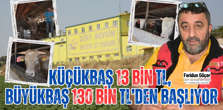 KÜÇÜKBAŞ 13 BİN TL, BÜYÜKBAŞ 130 BİN TL’DEN BAŞLIYOR