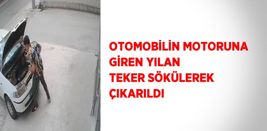 OTOMOBİLİN MOTORUNA GİREN YILAN TEKER SÖKÜLEREK ÇIKARILDI