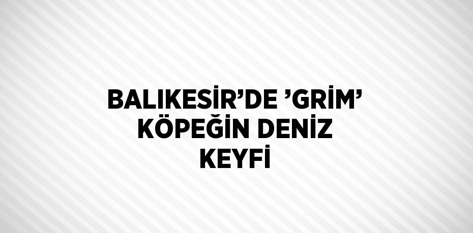 BALIKESİR’DE ’GRİM’ KÖPEĞİN DENİZ KEYFİ