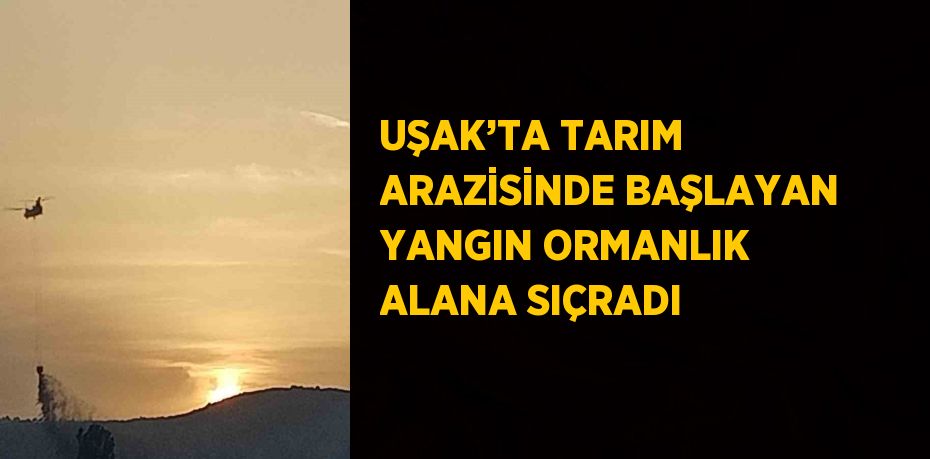 UŞAK’TA TARIM ARAZİSİNDE BAŞLAYAN YANGIN ORMANLIK ALANA SIÇRADI