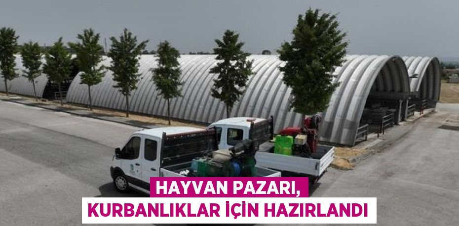 HAYVAN PAZARI, KURBANLIKLAR İÇİN HAZIRLANDI