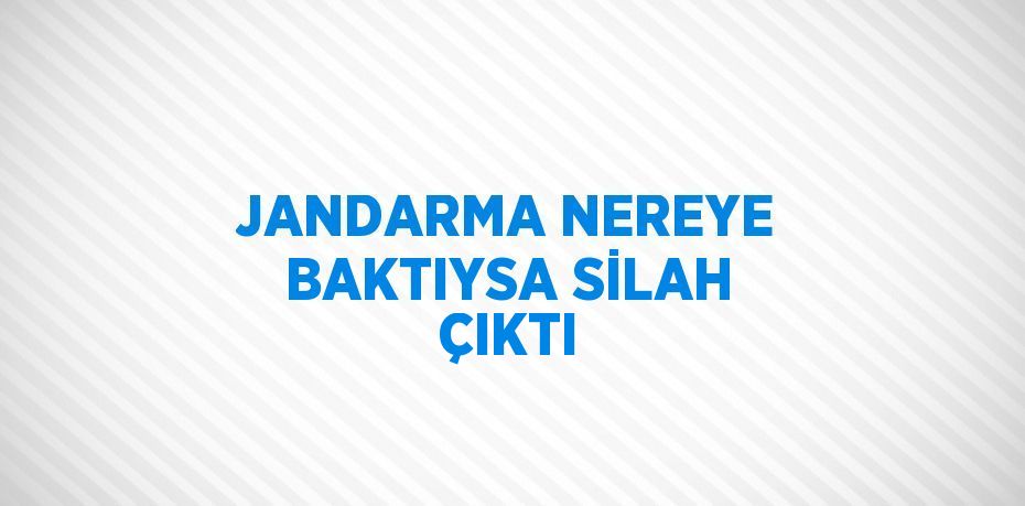 JANDARMA NEREYE BAKTIYSA SİLAH ÇIKTI
