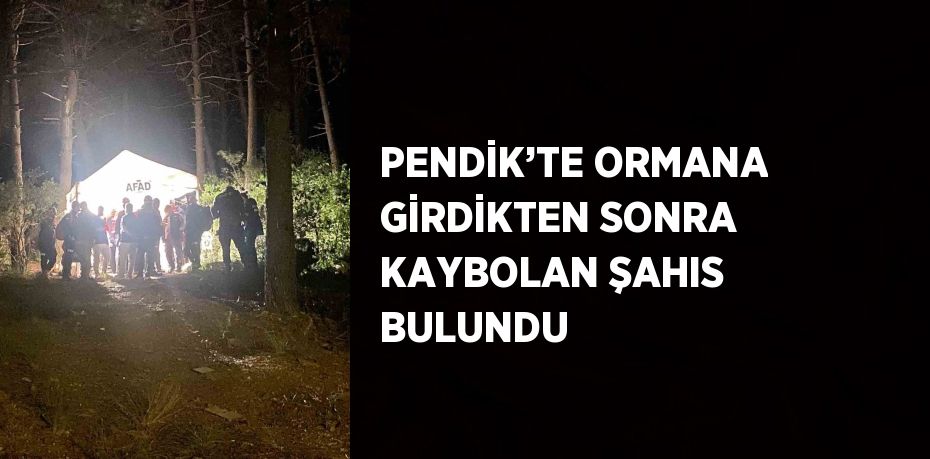 PENDİK’TE ORMANA GİRDİKTEN SONRA KAYBOLAN ŞAHIS BULUNDU