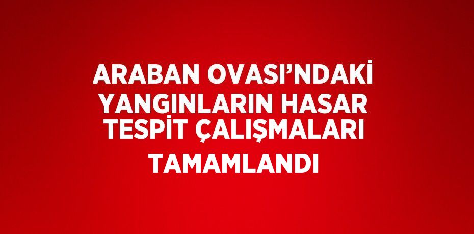 ARABAN OVASI’NDAKİ YANGINLARIN HASAR TESPİT ÇALIŞMALARI TAMAMLANDI