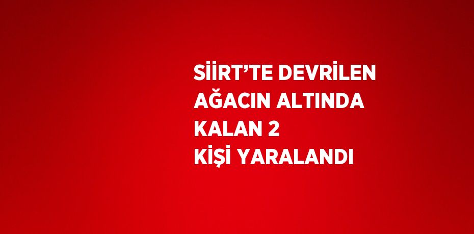SİİRT’TE DEVRİLEN AĞACIN ALTINDA KALAN 2 KİŞİ YARALANDI