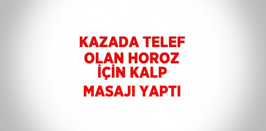 KAZADA TELEF OLAN HOROZ İÇİN KALP MASAJI YAPTI