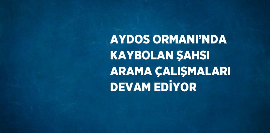 AYDOS ORMANI’NDA KAYBOLAN ŞAHSI ARAMA ÇALIŞMALARI DEVAM EDİYOR