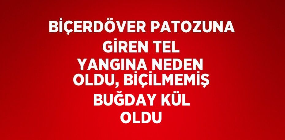 BİÇERDÖVER PATOZUNA GİREN TEL YANGINA NEDEN OLDU, BİÇİLMEMİŞ BUĞDAY KÜL OLDU