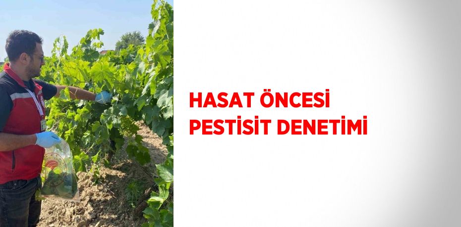 HASAT ÖNCESİ PESTİSİT DENETİMİ