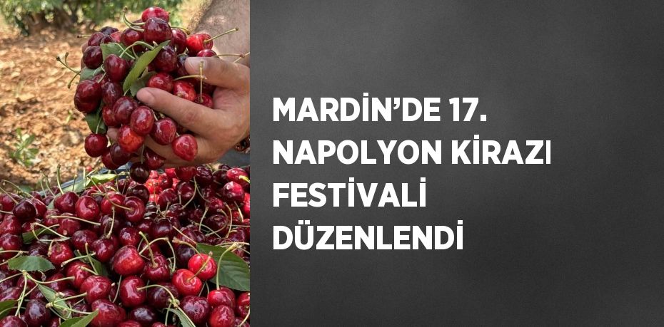 MARDİN’DE 17. NAPOLYON KİRAZI FESTİVALİ DÜZENLENDİ