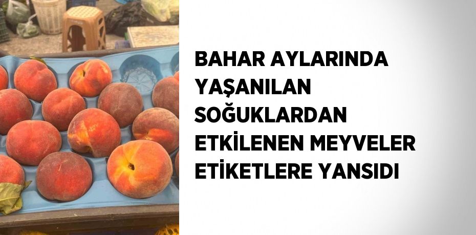 BAHAR AYLARINDA YAŞANILAN SOĞUKLARDAN ETKİLENEN MEYVELER ETİKETLERE YANSIDI