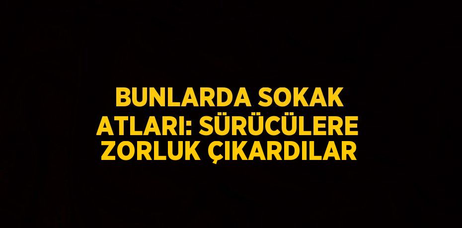 BUNLARDA SOKAK ATLARI: SÜRÜCÜLERE ZORLUK ÇIKARDILAR