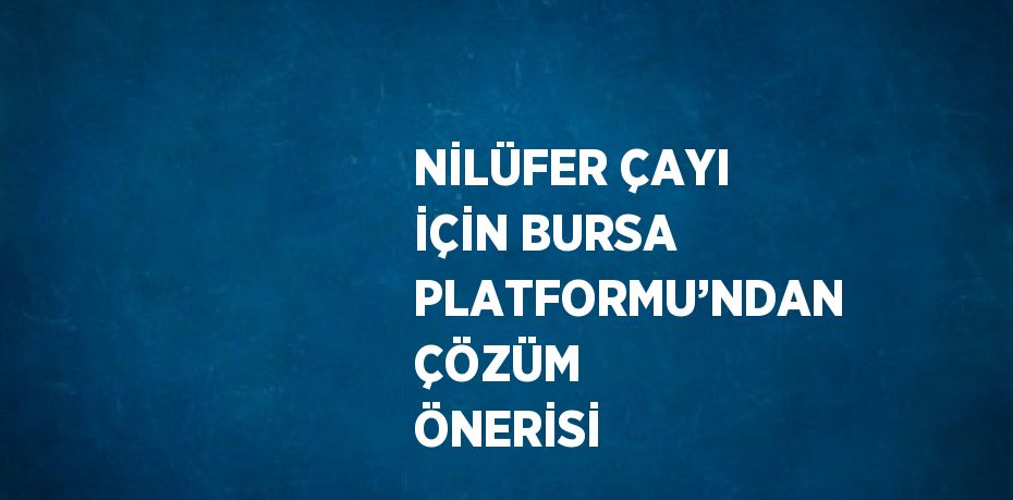 NİLÜFER ÇAYI İÇİN BURSA PLATFORMU’NDAN ÇÖZÜM ÖNERİSİ