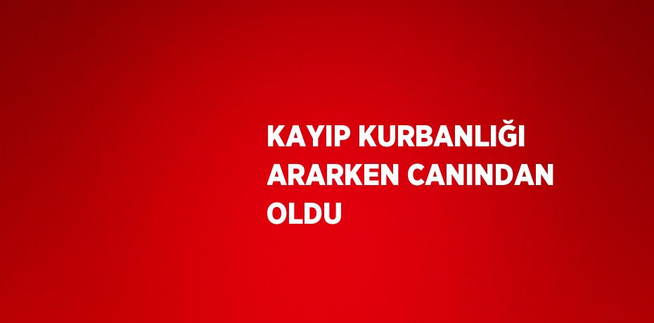 KAYIP KURBANLIĞI ARARKEN CANINDAN OLDU