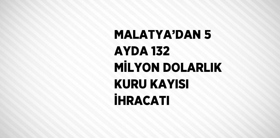 MALATYA’DAN 5 AYDA 132 MİLYON DOLARLIK KURU KAYISI İHRACATI