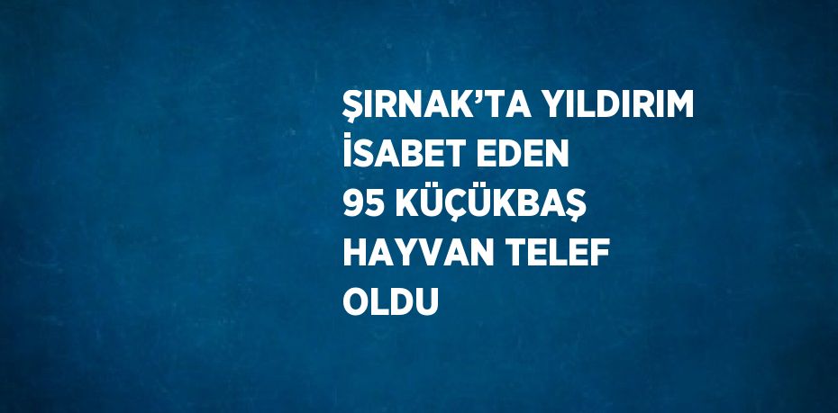 ŞIRNAK’TA YILDIRIM İSABET EDEN 95 KÜÇÜKBAŞ HAYVAN TELEF OLDU