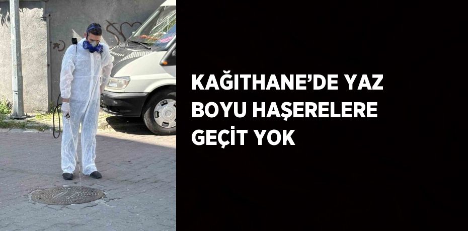 KAĞITHANE’DE YAZ BOYU HAŞERELERE GEÇİT YOK