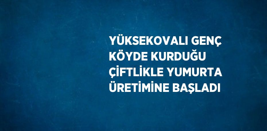 YÜKSEKOVALI GENÇ KÖYDE KURDUĞU ÇİFTLİKLE YUMURTA ÜRETİMİNE BAŞLADI