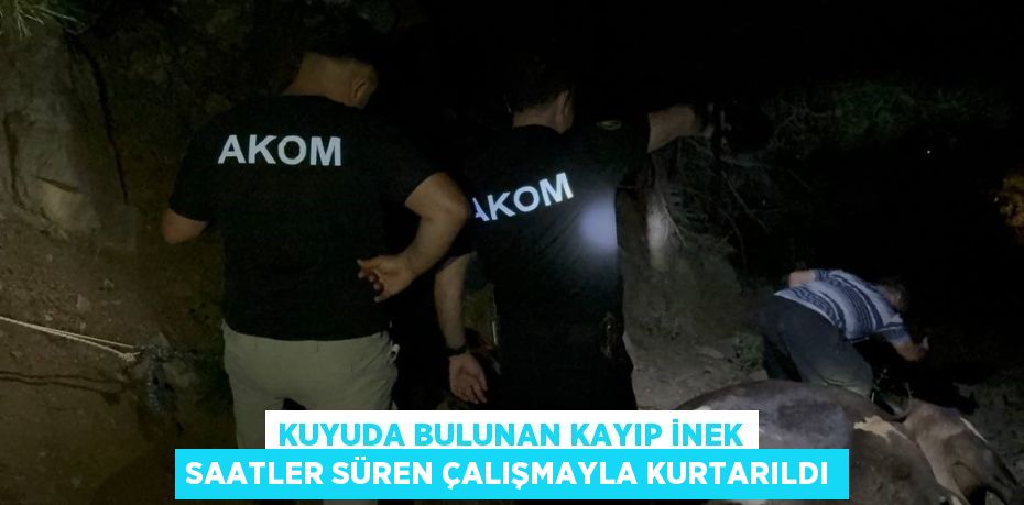 KUYUDA BULUNAN KAYIP İNEK SAATLER SÜREN ÇALIŞMAYLA KURTARILDI