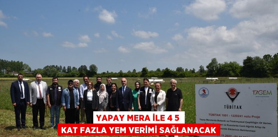 YAPAY MERA İLE 4 5 KAT FAZLA YEM VERİMİ SAĞLANACAK