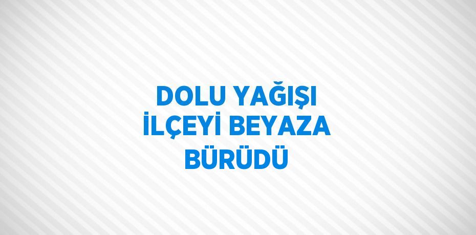 DOLU YAĞIŞI İLÇEYİ BEYAZA BÜRÜDÜ