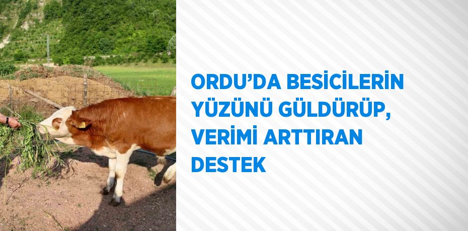 ORDU’DA BESİCİLERİN YÜZÜNÜ GÜLDÜRÜP, VERİMİ ARTTIRAN DESTEK