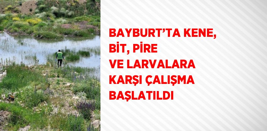 BAYBURT’TA KENE, BİT, PİRE VE LARVALARA KARŞI ÇALIŞMA BAŞLATILDI