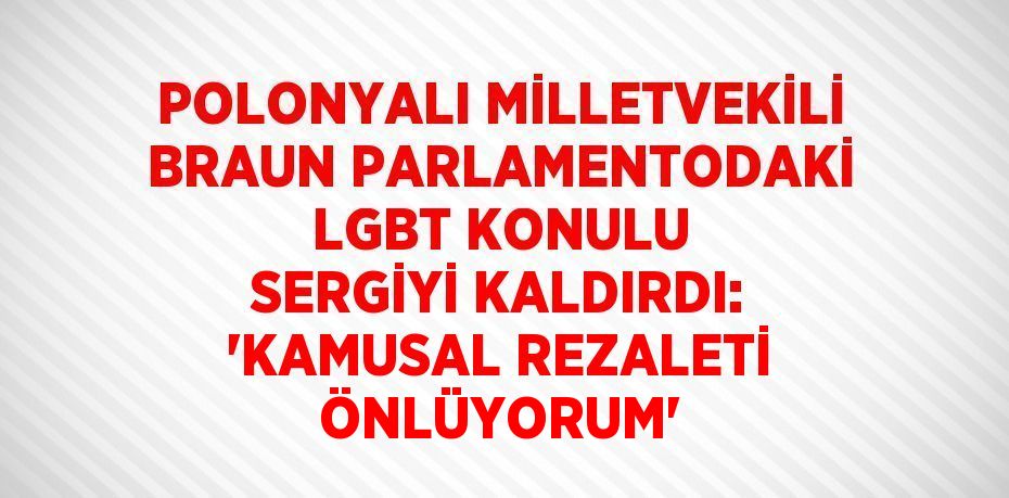 POLONYALI MİLLETVEKİLİ BRAUN PARLAMENTODAKİ LGBT KONULU SERGİYİ KALDIRDI: 'KAMUSAL REZALETİ ÖNLÜYORUM'