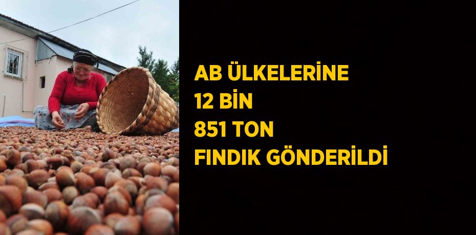 AB ÜLKELERİNE 12 BİN 851 TON FINDIK GÖNDERİLDİ
