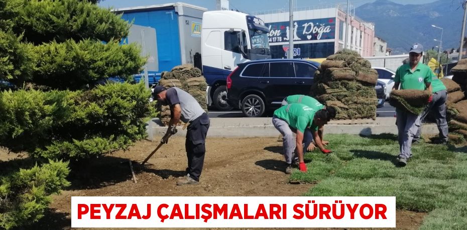 PEYZAJ ÇALIŞMALARI SÜRÜYOR