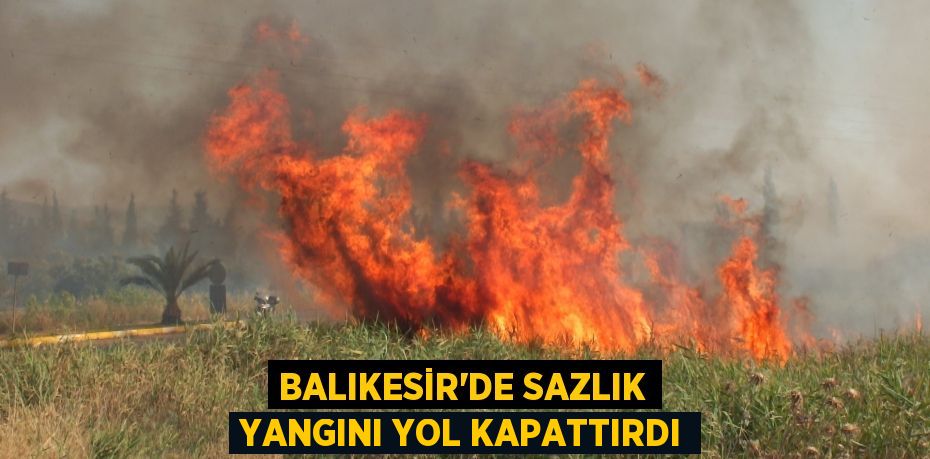 BALIKESİR’DE SAZLIK YANGINI YOL KAPATTIRDI