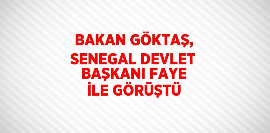 BAKAN GÖKTAŞ, SENEGAL DEVLET BAŞKANI FAYE İLE GÖRÜŞTÜ