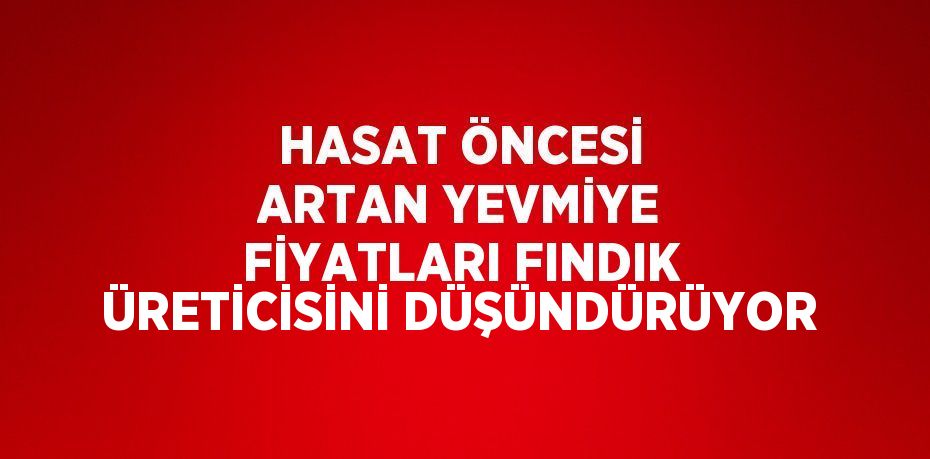 HASAT ÖNCESİ ARTAN YEVMİYE FİYATLARI FINDIK ÜRETİCİSİNİ DÜŞÜNDÜRÜYOR