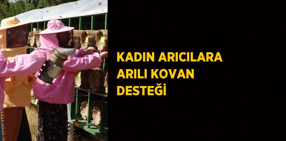 KADIN ARICILARA ARILI KOVAN DESTEĞİ