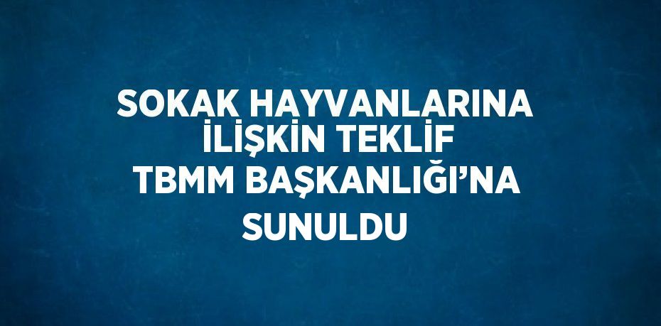 SOKAK HAYVANLARINA İLİŞKİN TEKLİF TBMM BAŞKANLIĞI’NA SUNULDU