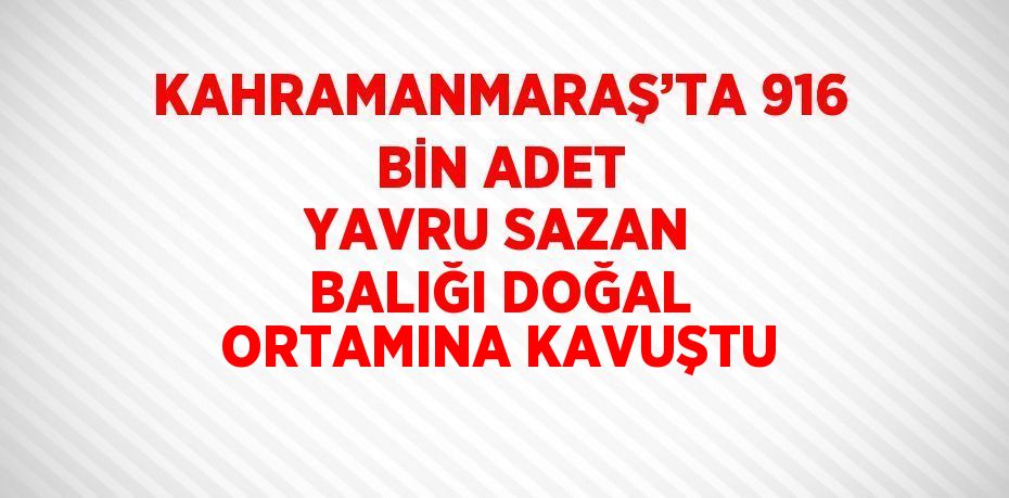 KAHRAMANMARAŞ’TA 916 BİN ADET YAVRU SAZAN BALIĞI DOĞAL ORTAMINA KAVUŞTU