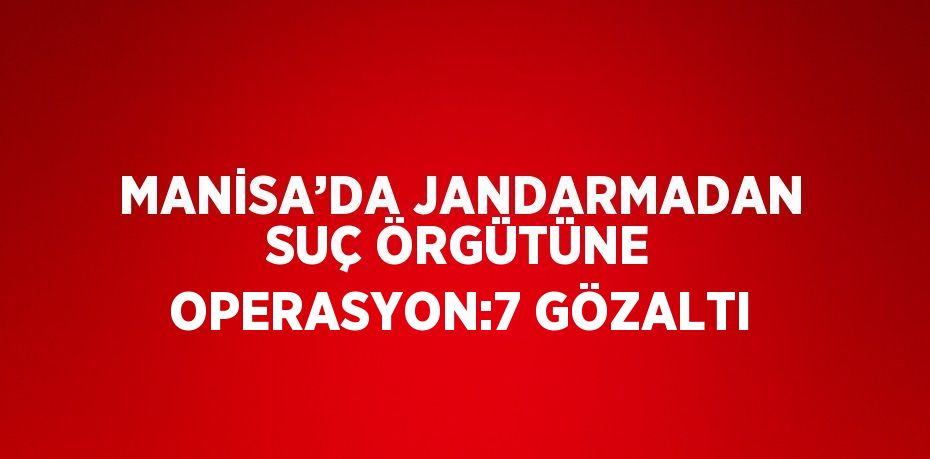 MANİSA’DA JANDARMADAN SUÇ ÖRGÜTÜNE OPERASYON:7 GÖZALTI