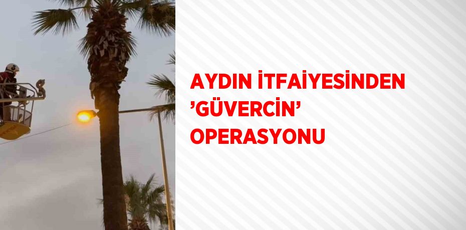 AYDIN İTFAİYESİNDEN ’GÜVERCİN’ OPERASYONU