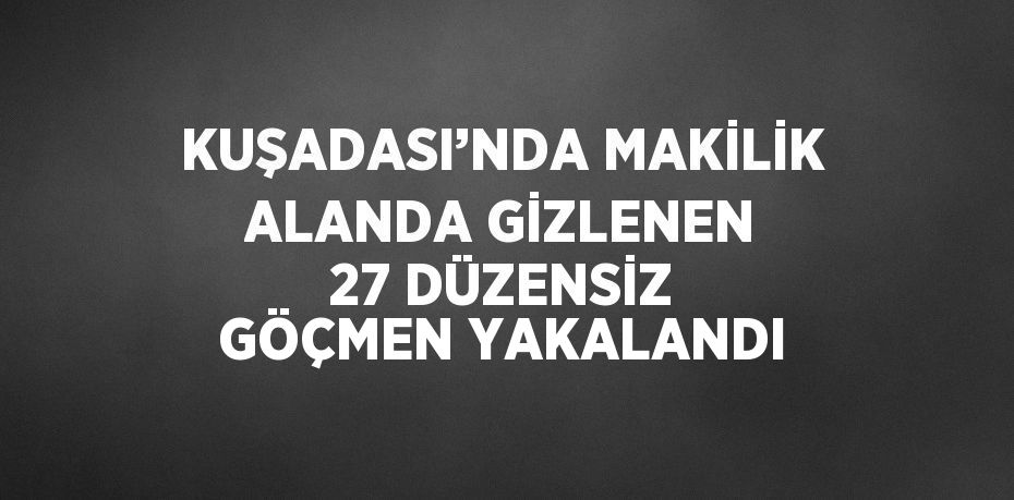 KUŞADASI’NDA MAKİLİK ALANDA GİZLENEN 27 DÜZENSİZ GÖÇMEN YAKALANDI