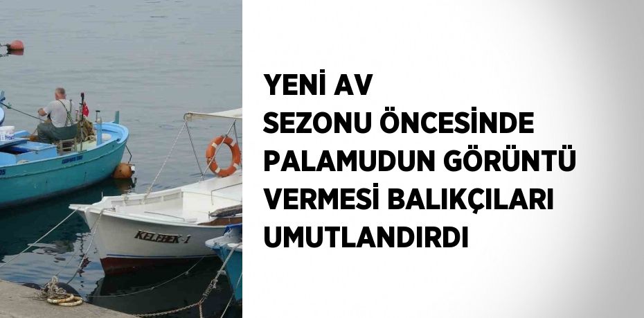 YENİ AV SEZONU ÖNCESİNDE PALAMUDUN GÖRÜNTÜ VERMESİ BALIKÇILARI UMUTLANDIRDI